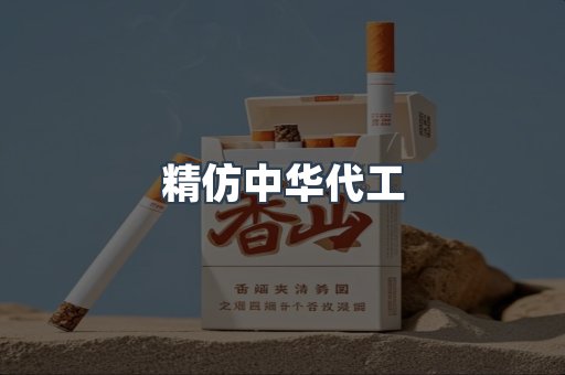 精仿中华代工